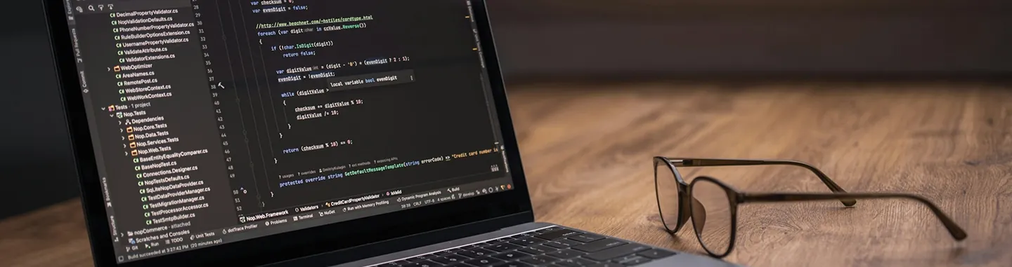 Web & Mobile App Development Developer working on a web and mobile application